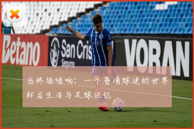当终场哨响：一个普通球迷的世界杯后生活与足球记忆