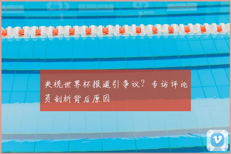 央视世界杯报道引争议？专访评论员剖析背后原因
